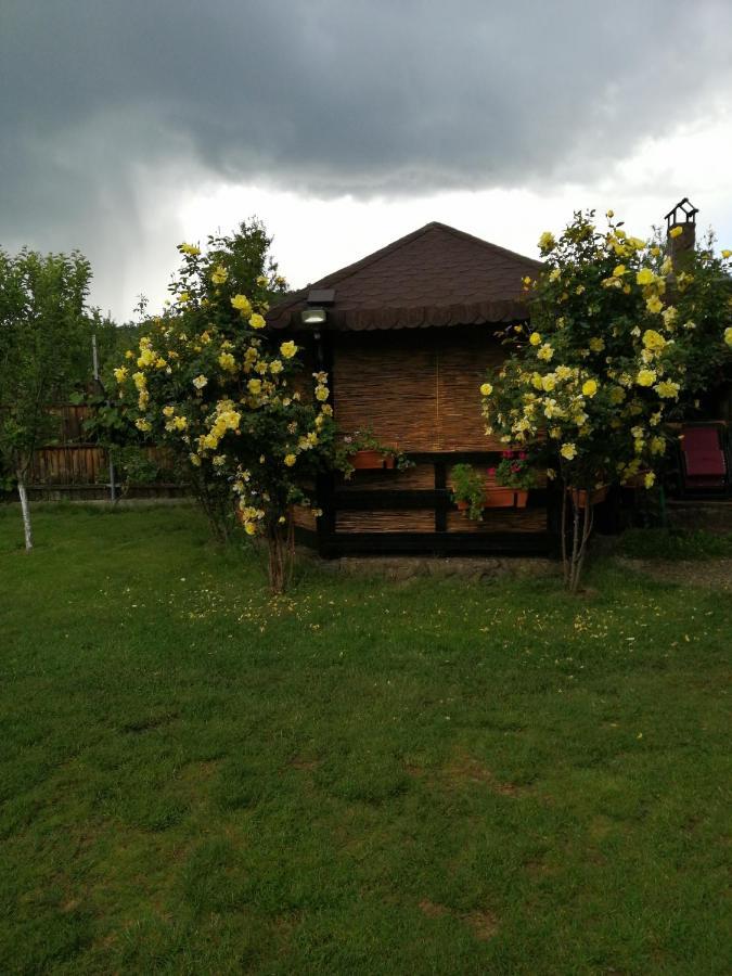 Conacul Caterinei Casuta Din Povesti Vila Polovragi Exterior foto