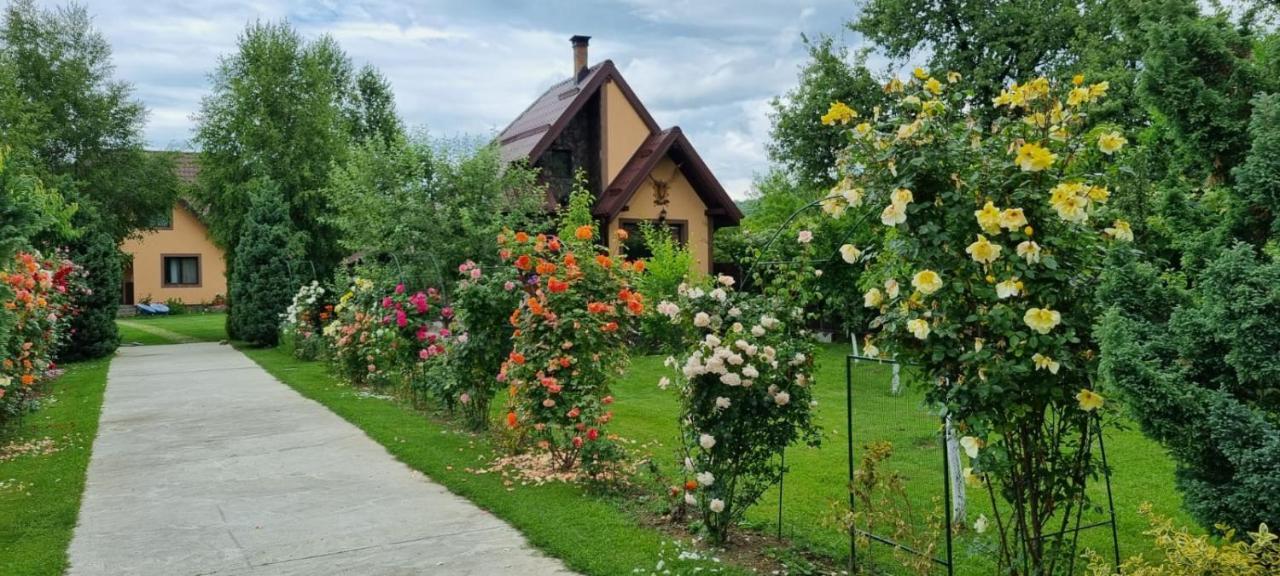 Conacul Caterinei Casuta Din Povesti Vila Polovragi Exterior foto