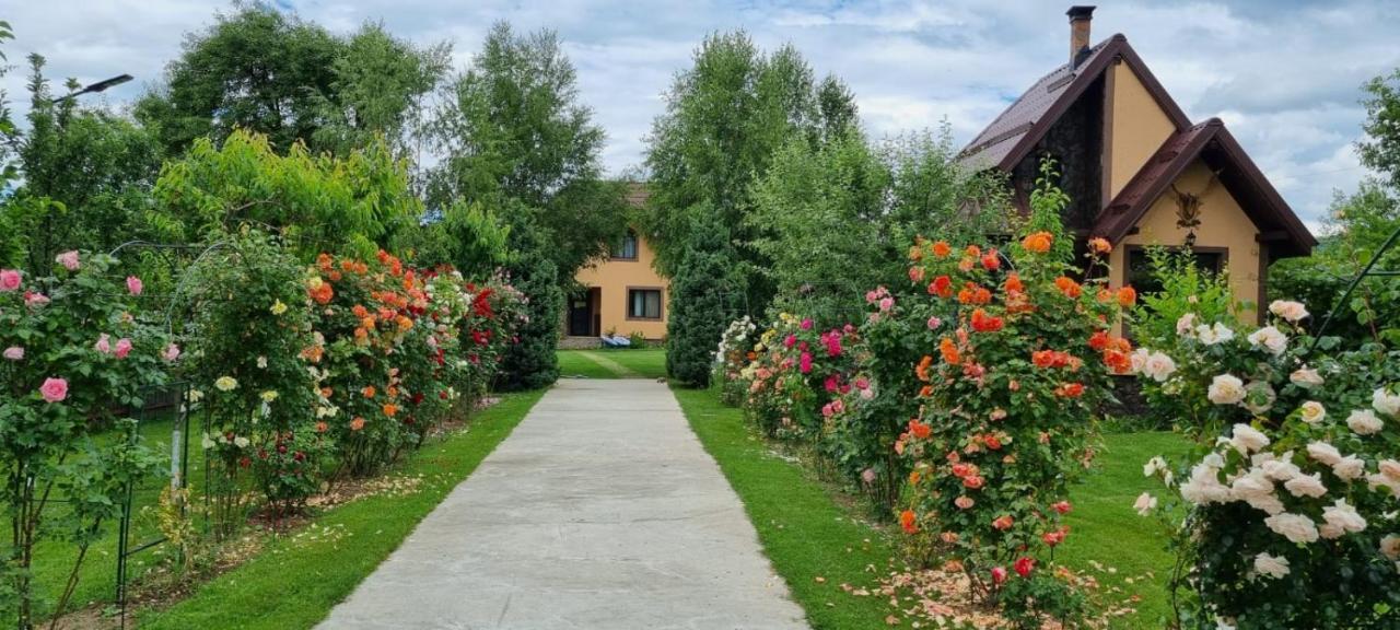 Conacul Caterinei Casuta Din Povesti Vila Polovragi Exterior foto